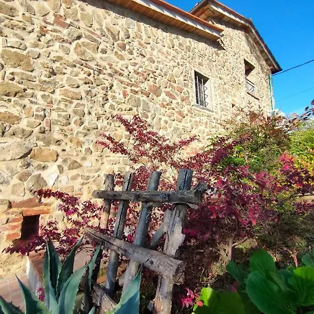 Il Fienile Tra Gli Ulivi Ferienhaus