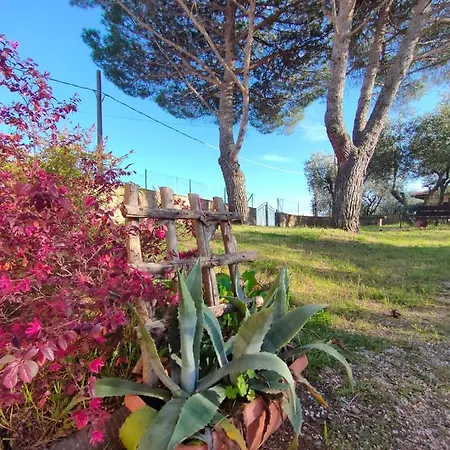 Casa vacanze Il Pollaio Tra Gli Ulivi Lamporecchio