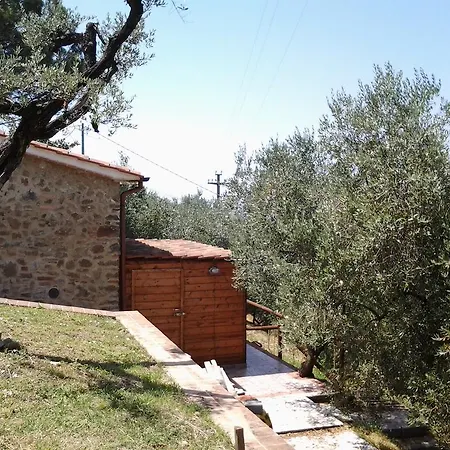 Il Fienile Tra Gli Ulivi Lamporecchio